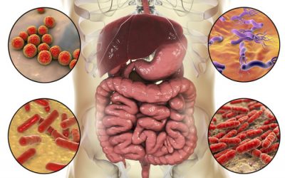 Roztroušená skleróza – hraje mikrobiom roli?