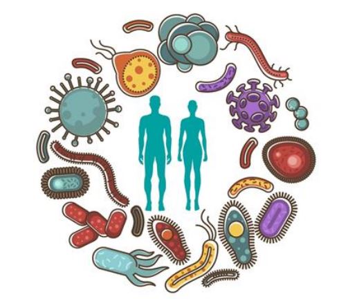 Mikrobiomy lidského těla ve zdraví a nemoci, 23.10. 2023