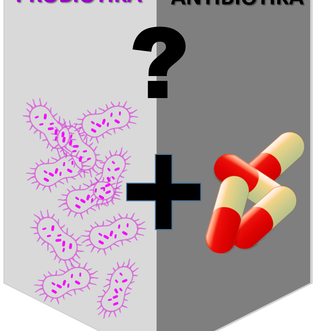 Proč ne/podávat probiotika a antibiotika současně, 21. 3. 2023