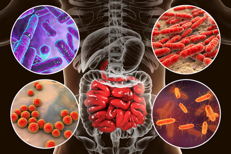 Rezistence na antibiotika: výzva pro 21. století, 12. 3. 2024