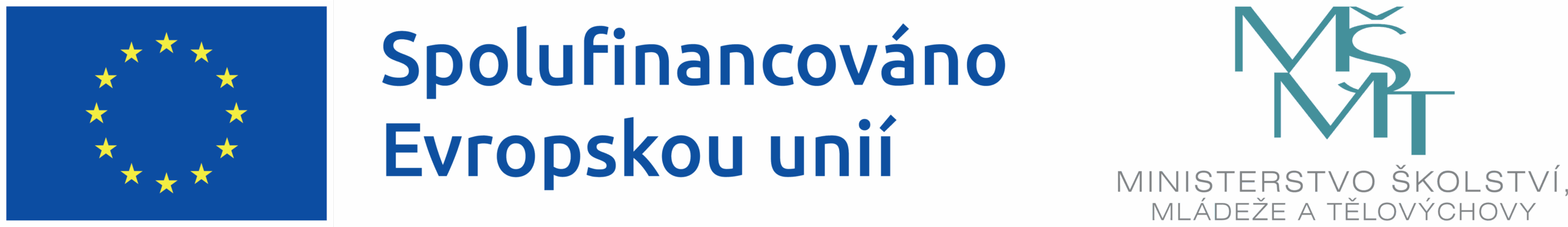 EU MSMT